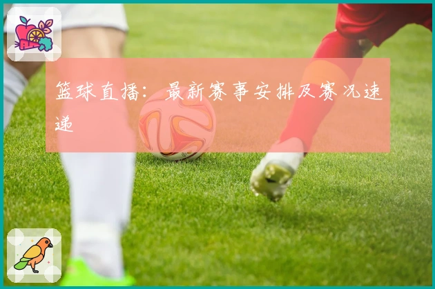 篮球直播：最新赛事安排及赛况速递